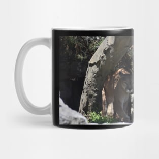 Cougar Mug